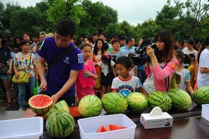 可直接在线观看的动漫扑克